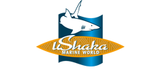 ushaka